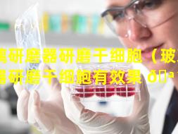 玻璃研磨器研磨干细胞（玻璃研磨器研磨干细胞有效果 🪴 吗）